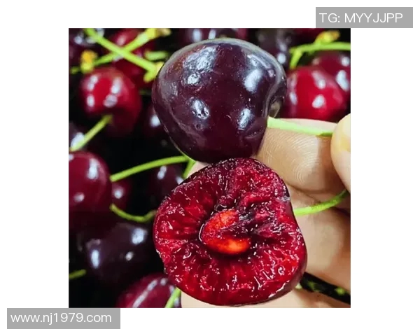 足球明星与女友的搞笑尴尬瞬间大揭秘让人忍俊不禁的甜蜜时刻 足球明星与女友的搞笑尴尬瞬间大揭秘让人忍俊不禁的甜蜜时刻